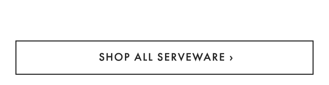 shop all serveware ›