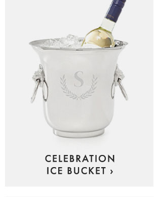 CELEBRATION ICE BUCKET ›