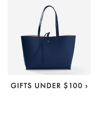 GIFTS UNDER $100 ›