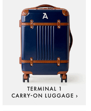 TERMINAL 1 CARRY-ON LUGGAGE ›