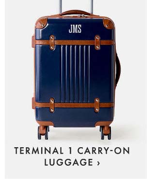 TERMINAL 1 CARRY-ON LUGGAGE ›