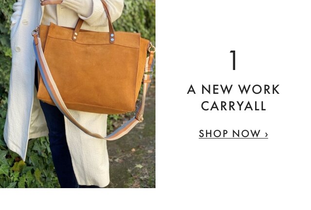 1. A NEW WORK CARRYALL - SHOP NOW ›