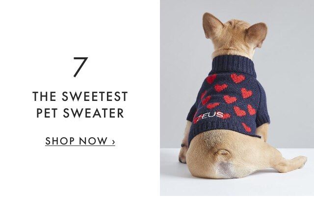 7. THE SWEETEST PET SWEATER - SHOP NOW ›