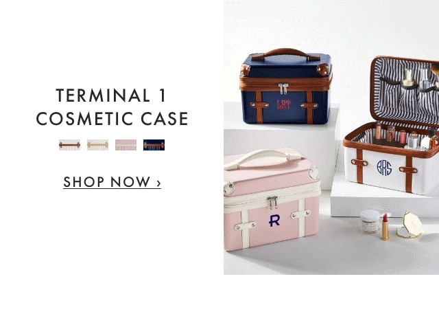 TERMINAL 1 COSMETIC CASE - SHOP NOW ›
