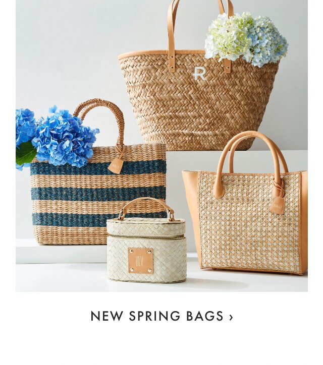 NEW SPRING BAGS ›