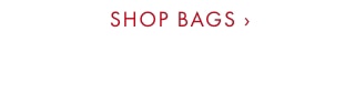 SHOP BAGS ›