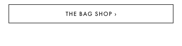 THE BAG SHOP ›