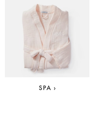 SPA ›