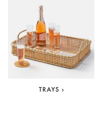 TRAYS ›