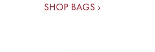 SHOP BAGS ›