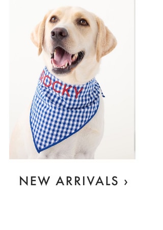 NEW ARRIVALS &rsaquo;