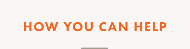 HOW YOU CAN HELP