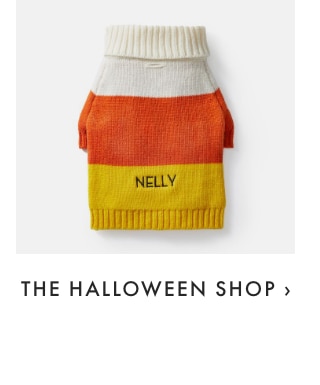 THE HALLOWEEN SHOP ›