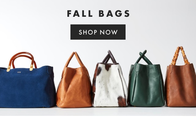 FALL BAGS - SHOP NOW ›