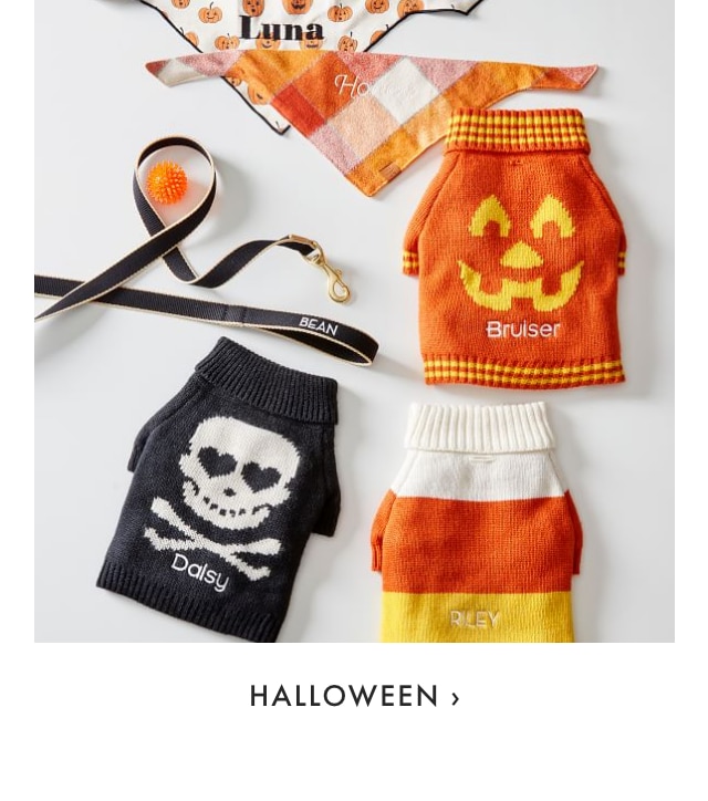 HALLOWEEN ›