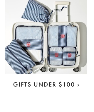 GIFTS UNDER $100 ›