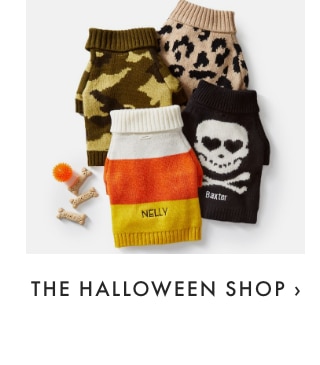 THE HALLOWEEN SHOP ›