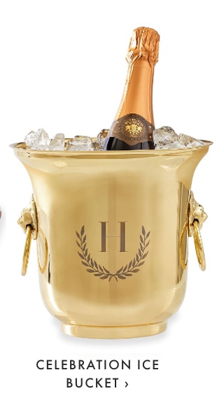 CELEBRATION ICE BUCKET ›