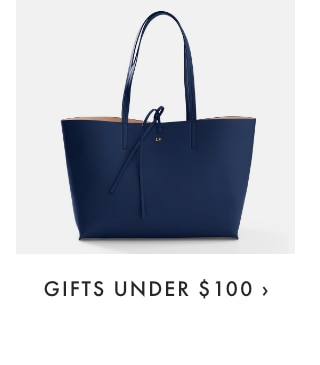 GIFTS UNDER $100 ›