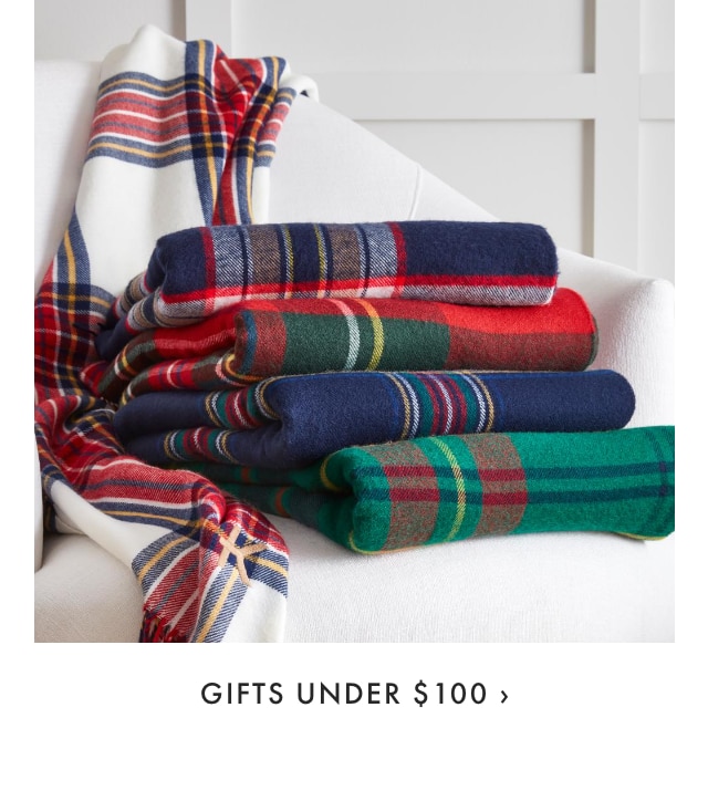 GIFTS UNDER $100 ›