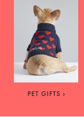 PET GIFTS ›