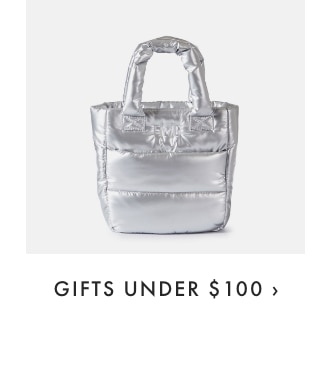 GIFTS UNDER $100 ›