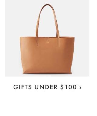 GIFTS UNDER $100 ›
