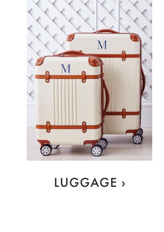 LUGGAGE ›