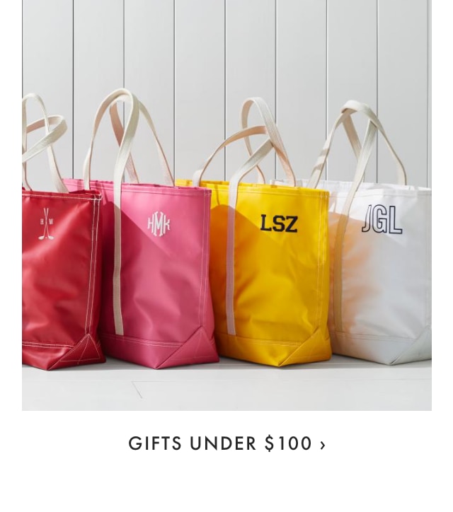 GIFTS UNDER $100 ›