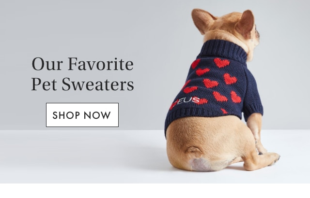 Our Favorite Pet Sweaters - SHOP NOW