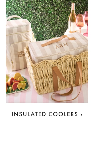 INSULATED COOLERS ›