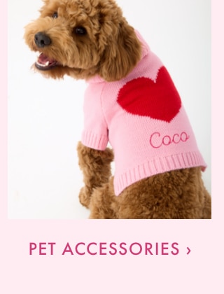 PET ACCESSORIES &rsaquo;