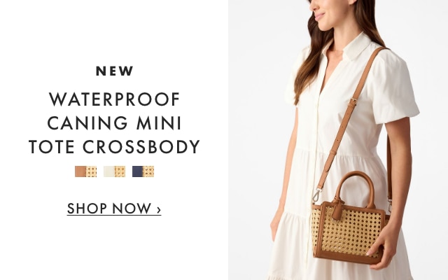WATERPROOF CANING CLUTCH - SHOP NOW &rsaquo;