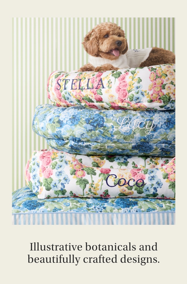 Illustrative botanicals and beautifully crafted designs.
