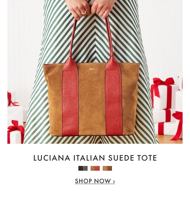 LUCIANA ITALIAN SUEDE TOTE - SHOP NOW &rsaquo;